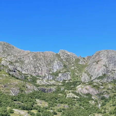 Peaceful Village Of Nesland